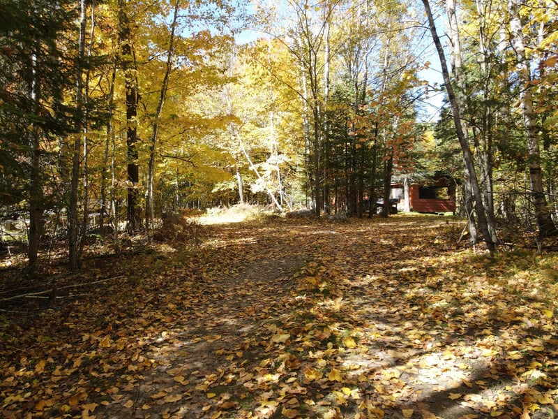 41748 Teal Rd, Bigfork, MN 56628
