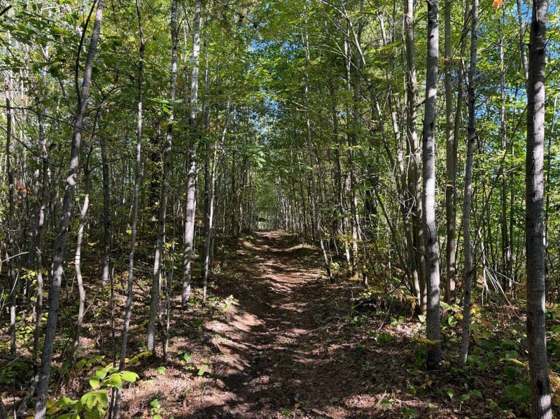 TBD Estates, Kerrick, MN 55756