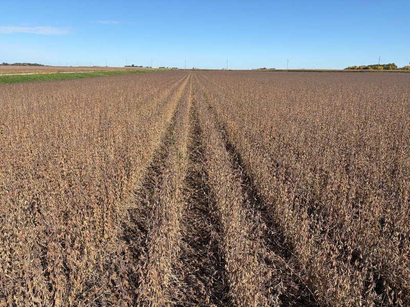 TBD 540th Ave, Wells, MN 56097