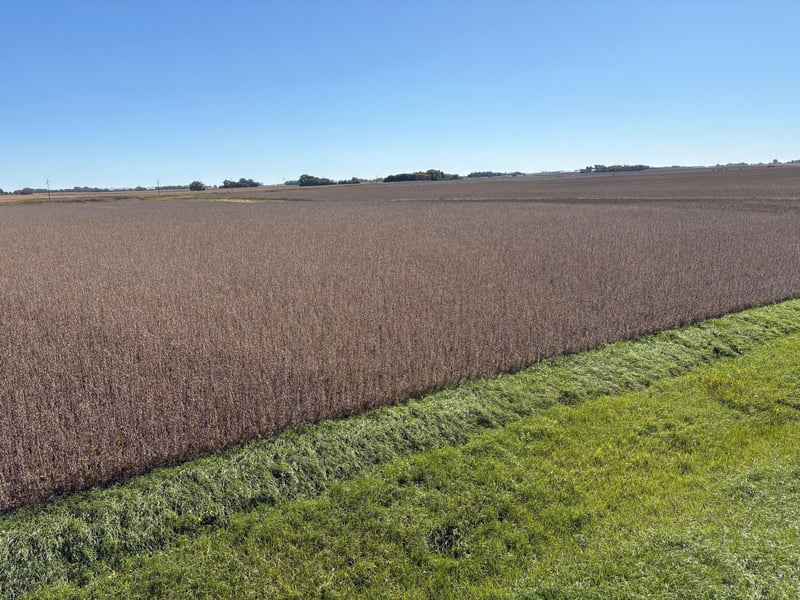 TBD 540th Ave, Wells, MN 56097