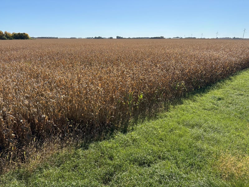 TBD 540th Ave, Wells, MN 56097