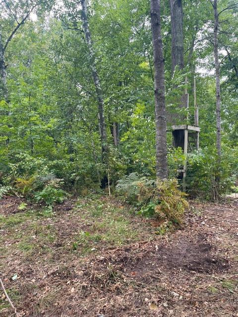 TBD Lacy Ln SW, Pequot Lakes, MN 56472