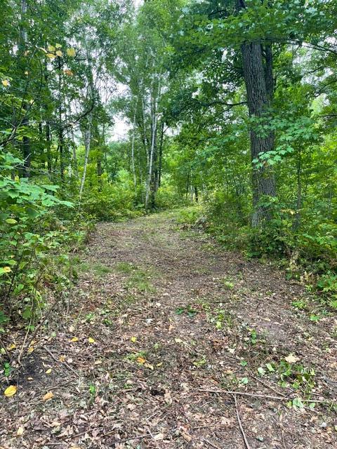 TBD Lacy Ln SW, Pequot Lakes, MN 56472