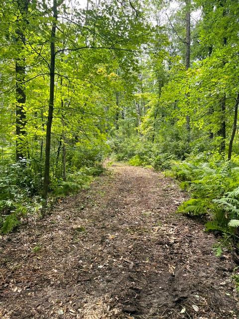 TBD Lacy Ln SW, Pequot Lakes, MN 56472