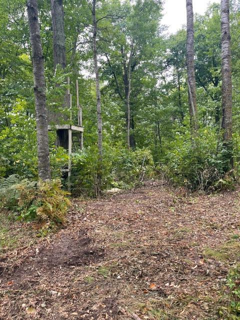 TBD Lacy Ln SW, Pequot Lakes, MN 56472