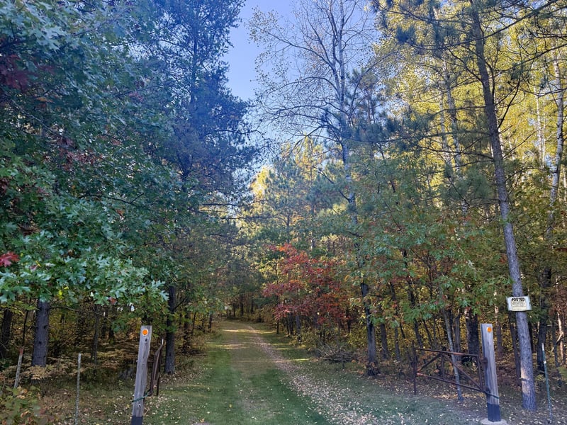 80083 Whispering Pines Ln, Willow River, MN 55795