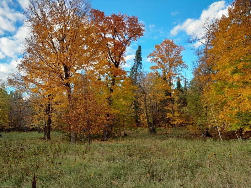 47624 Bowstring C, Deer River, MN 56636