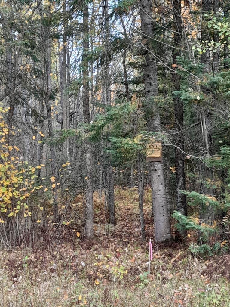 47624 Bowstring C, Deer River, MN 56636