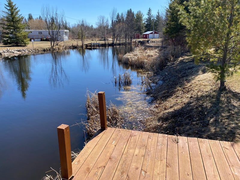 25667 Lou Rayne Beach Rd NE, Waskish, MN 56685