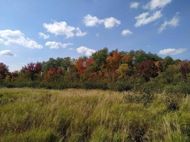 56723 Duncan Rd, Sandstone, MN 55072