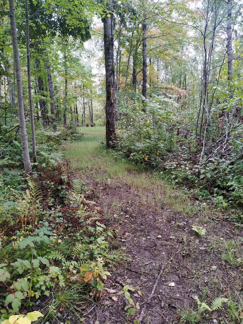56723 Duncan Rd, Sandstone, MN 55072