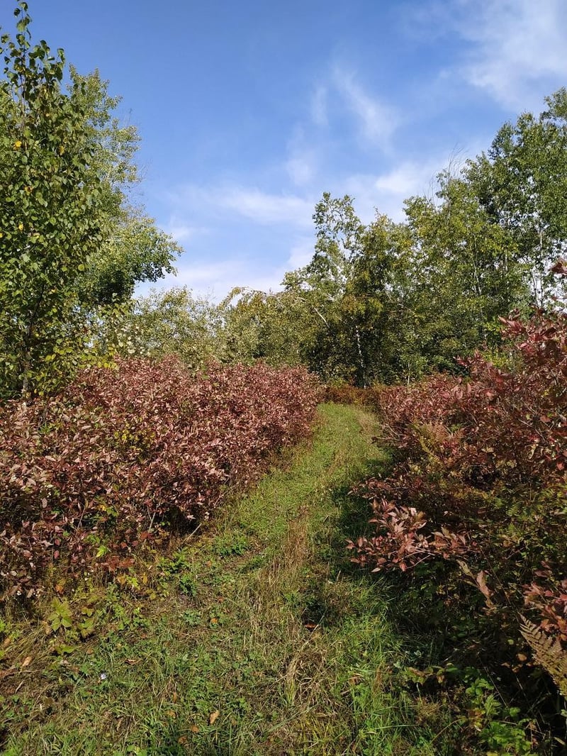 56723 Duncan Rd, Sandstone, MN 55072