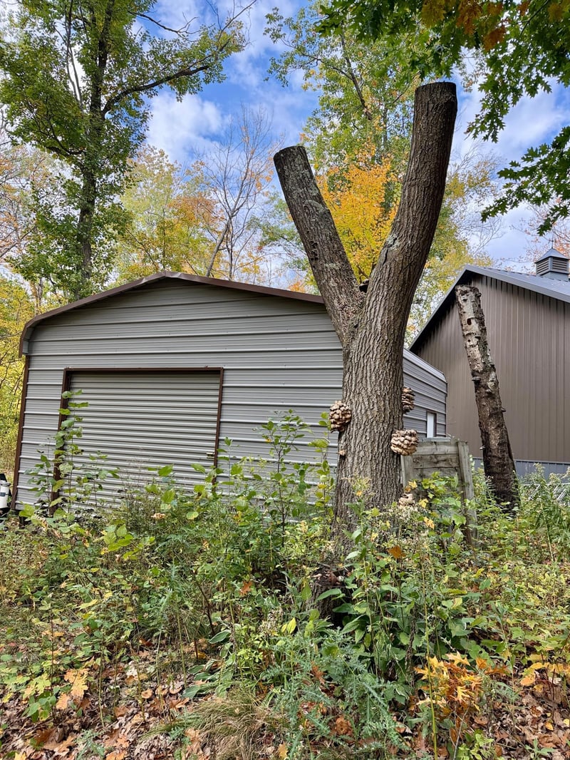 6592 Graystone, Randall, MN 56475