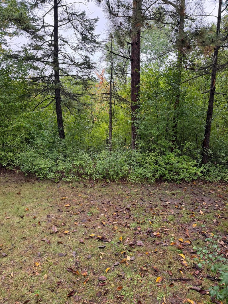 8245 W Bush Lake Rd, Bloomington, MN 55438