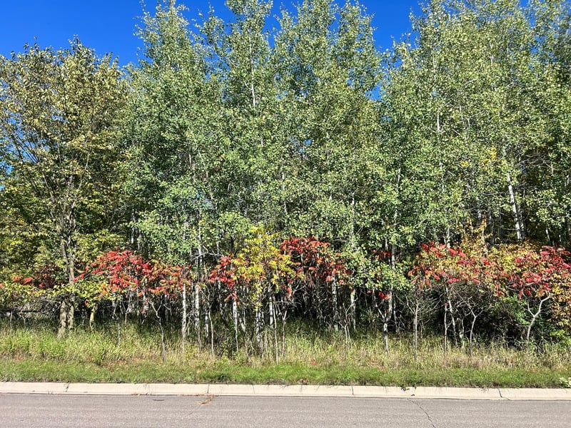 700 3rd Ave NW, Little Falls, MN 56345