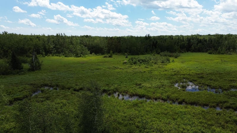 W11199 Edgewood Rd W, Bruce, WI 54848