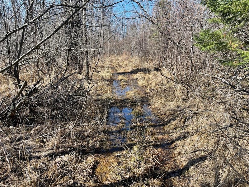 TBD County Hwy #133, Meadowlands, MN 55765