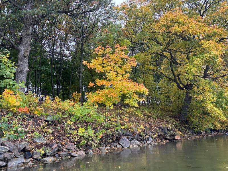 Lot 7 Blk 1 Serenity Ln SW, Alexandria, MN 56308