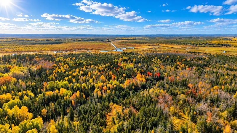 TBD Hinkkanen Rd, Floodwood, MN 55736