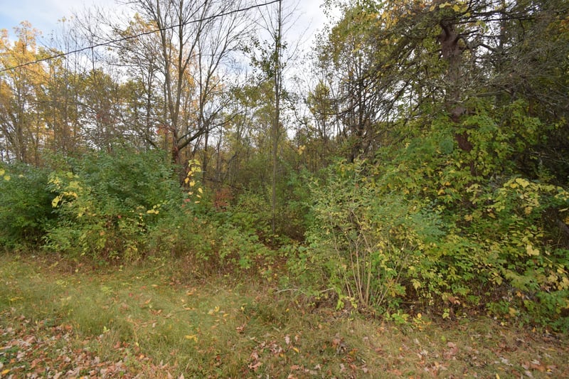 Lots 1-8 N Center St, Danbury, WI 54830