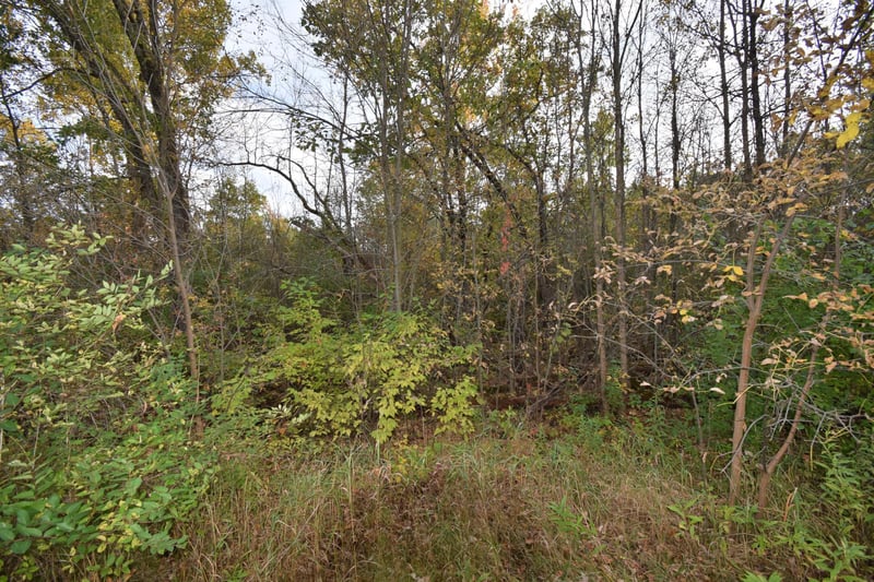 Lots 1-8 N Center St, Danbury, WI 54830