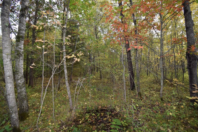 Lots 1-8 N Center St, Danbury, WI 54830
