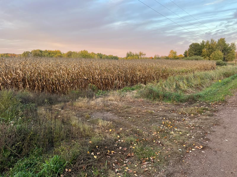 000 Holly Rd, Pine City, MN 55063