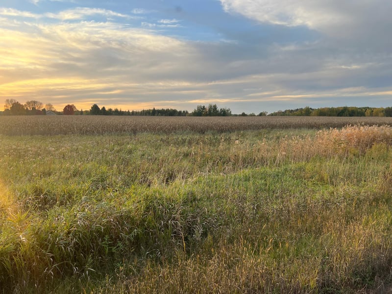 0000 Holly Rd, Pine City, MN 55063
