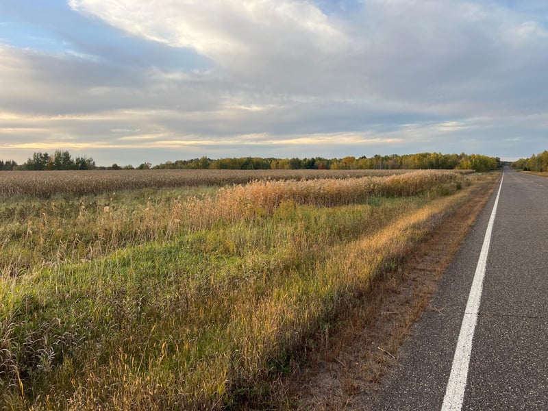 0000 Holly Rd, Pine City, MN 55063