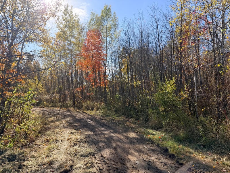 12168 250th St, Milaca, MN 56353