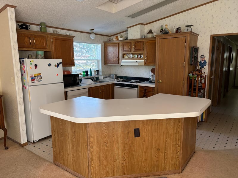 204 E Hibbard Ave, Belview, MN 56214