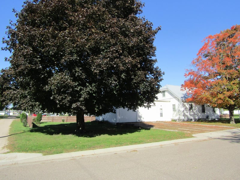 282 2nd St, Dawson, MN 56232