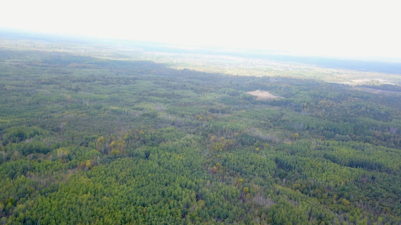 Tbd Industrial Ave, Littlefork, MN 56668