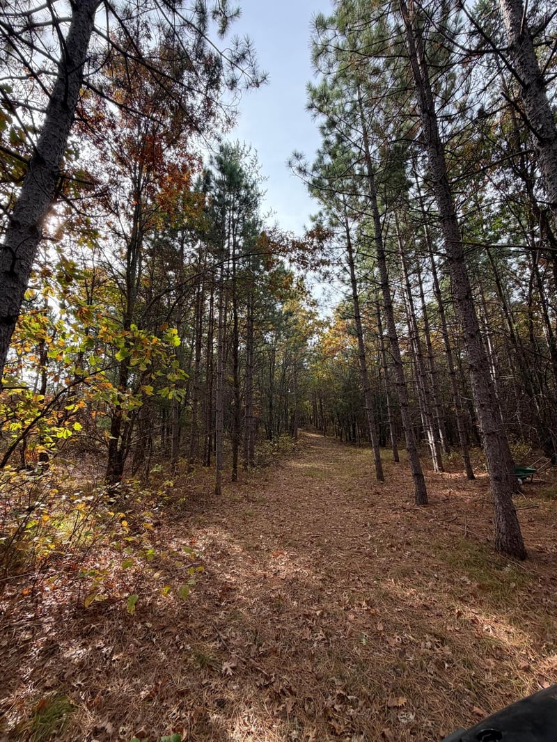 14375 Grell Rd, Grantsburg, WI 54840