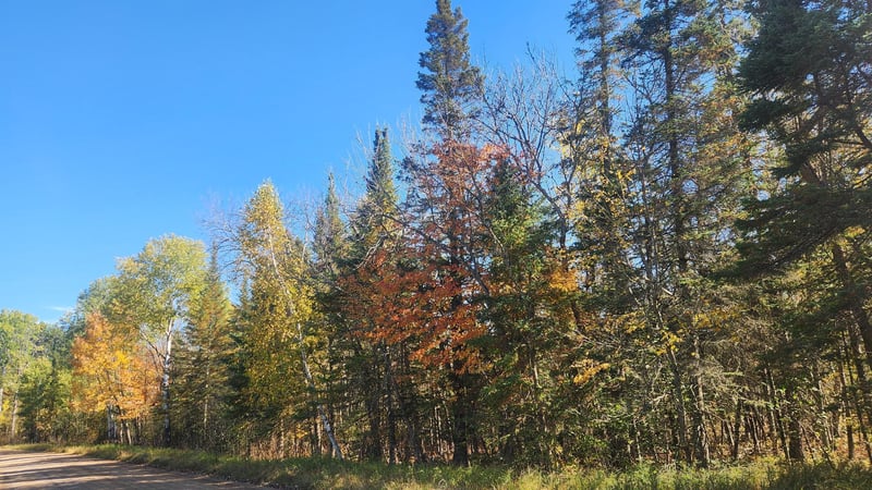 TBD County Road 55 Rd NE, Remer, MN 56672