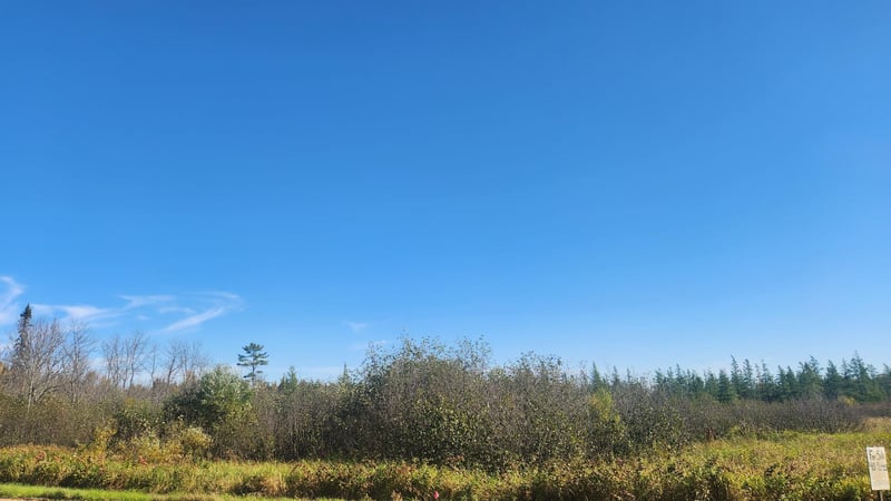 TBD County Road 55 Rd NE, Remer, MN 56672