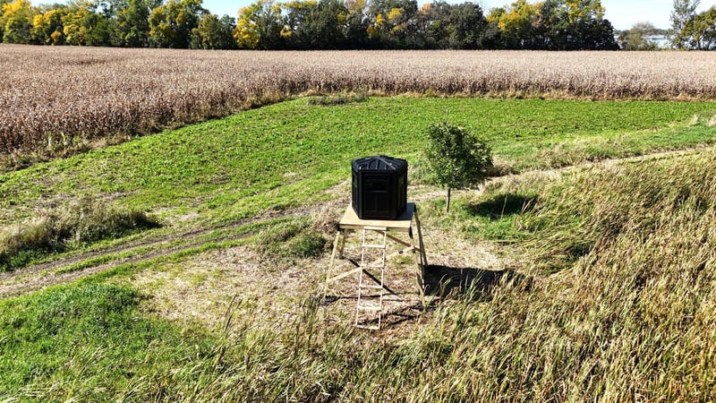 XXX 230th, Minnesota Lake, MN 56068