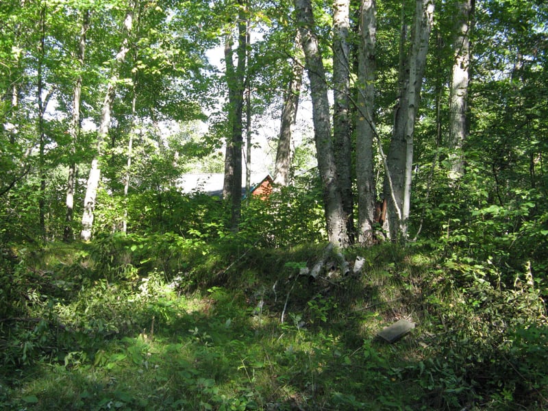 TBD Alpine Dr, Breezy Point, MN 56472