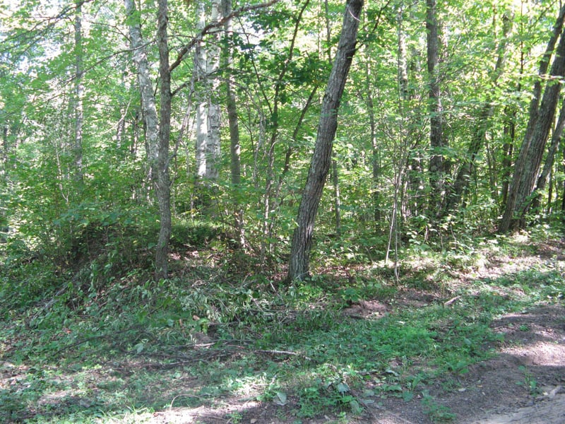 TBD Alpine Dr, Breezy Point, MN 56472