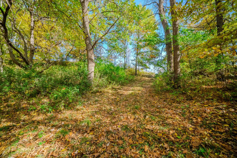 TBD County Road 102, Grey Eagle, MN 56336