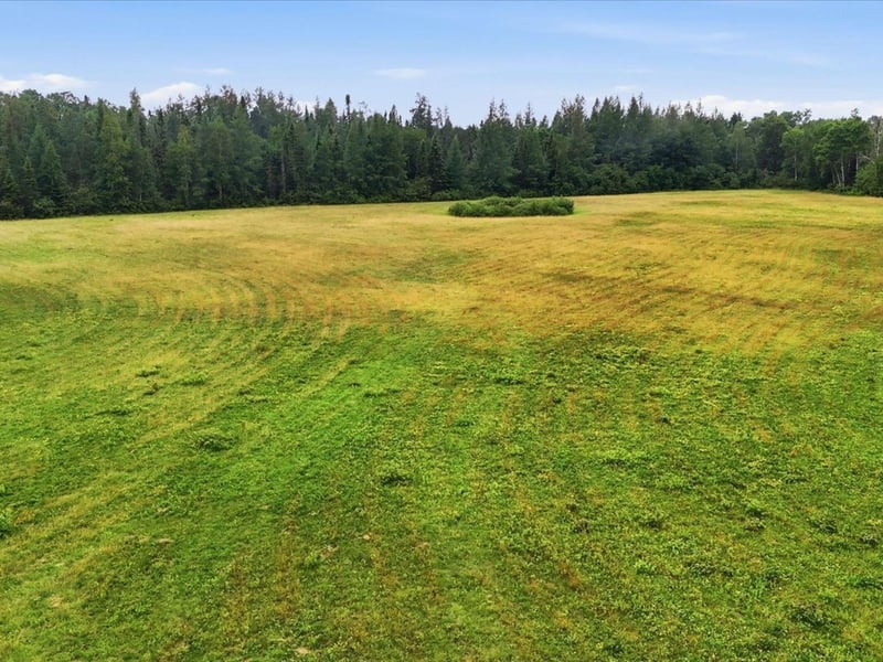 TBD 1 County Rd 904, Babbitt, MN 55706