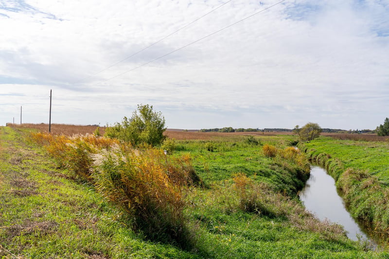 XXX 180th St, New Richland, MN 56072