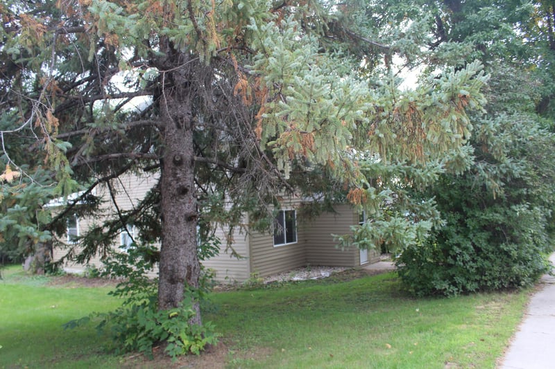 609 Wollan St, Starbuck, MN 56381