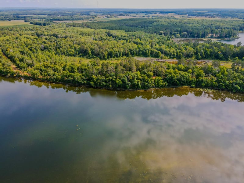 TBD County 81, Park Rapids, MN 56470