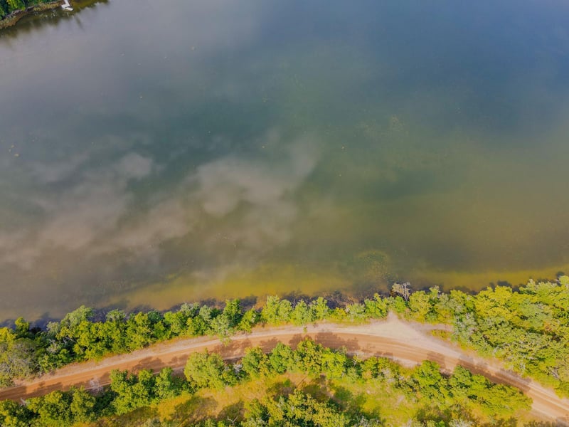 TBD County 81, Park Rapids, MN 56470
