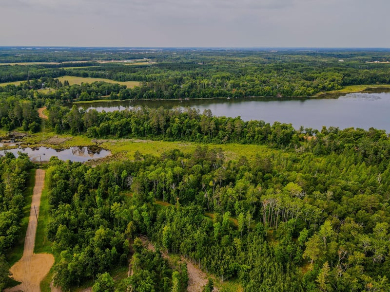 TBD County 81, Park Rapids, MN 56470