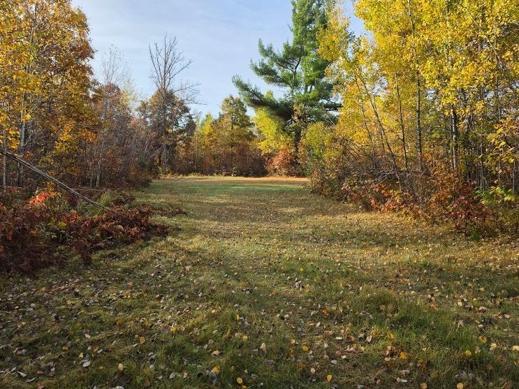 00 Highway 77, Minong, WI 54859