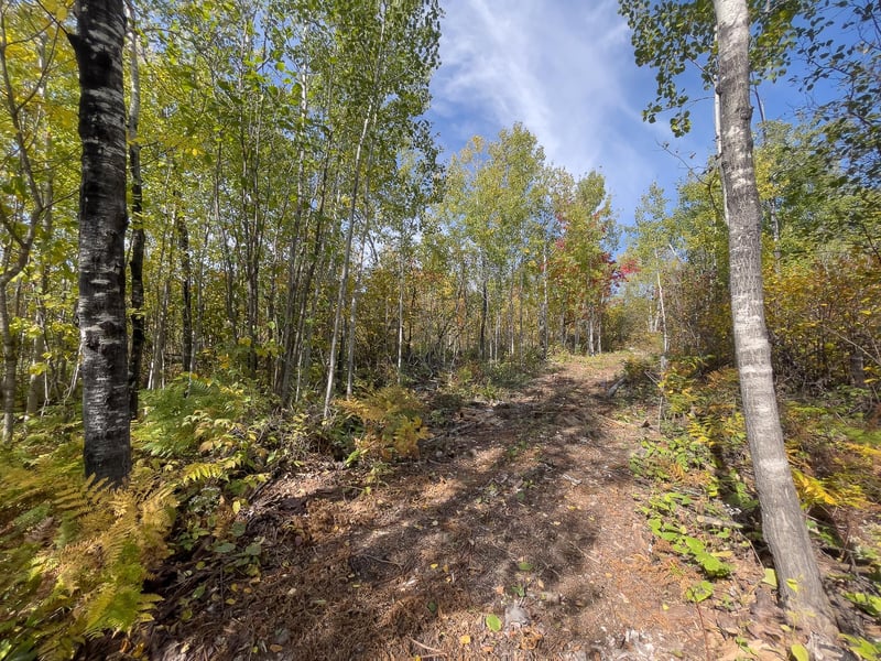 52XX Ramsdell Heights Rd, Silver Bay, MN 55614