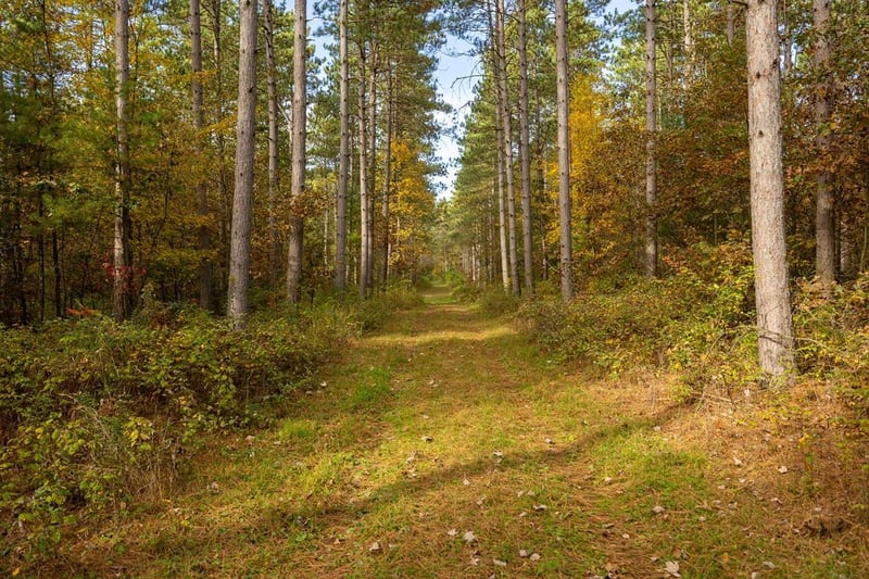 TBD E Prairie Rd, Osseo, WI 54758