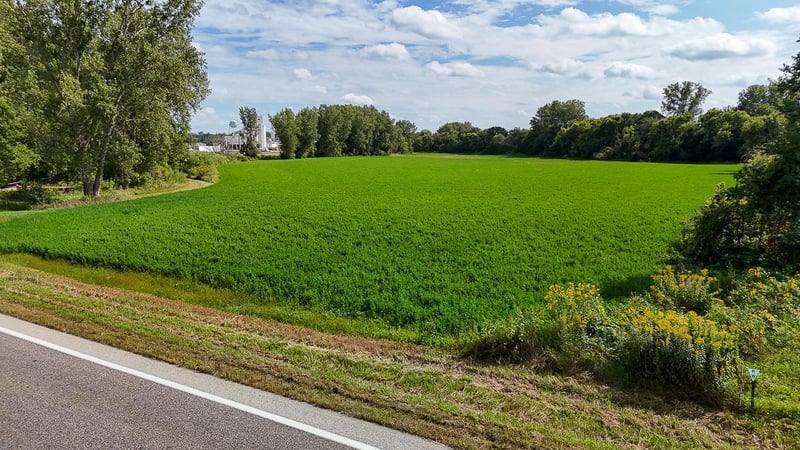 16800 County 168 Blvd, Zumbrota, MN 55992